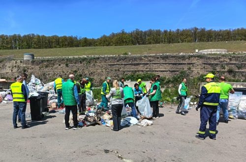 Determinare-deseuri-Salaj-4